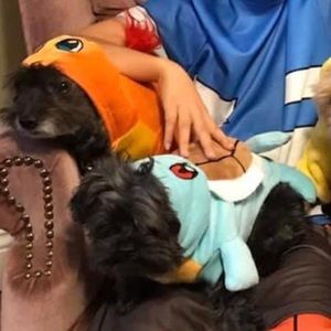 Pokémon Charmander Dog Costume size small
